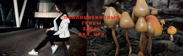 таблы Богданович