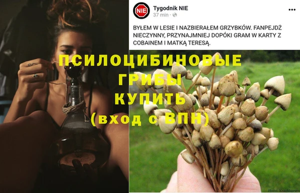 кокаин перу Богородицк