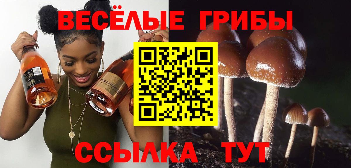 Псилоцибиновые грибы ЛСД Гусев