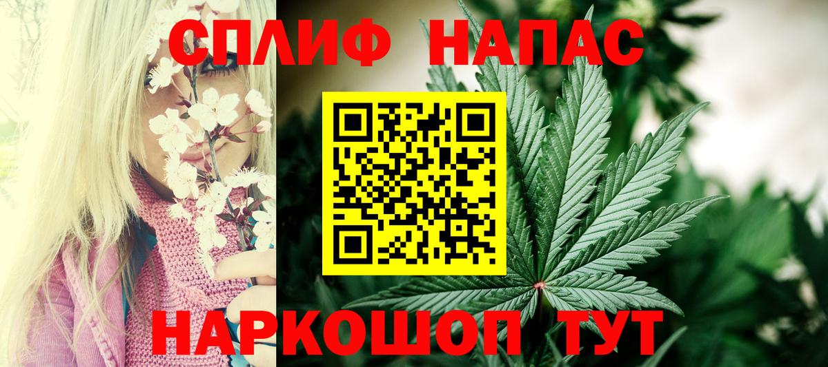 Конопля планчик Гусев